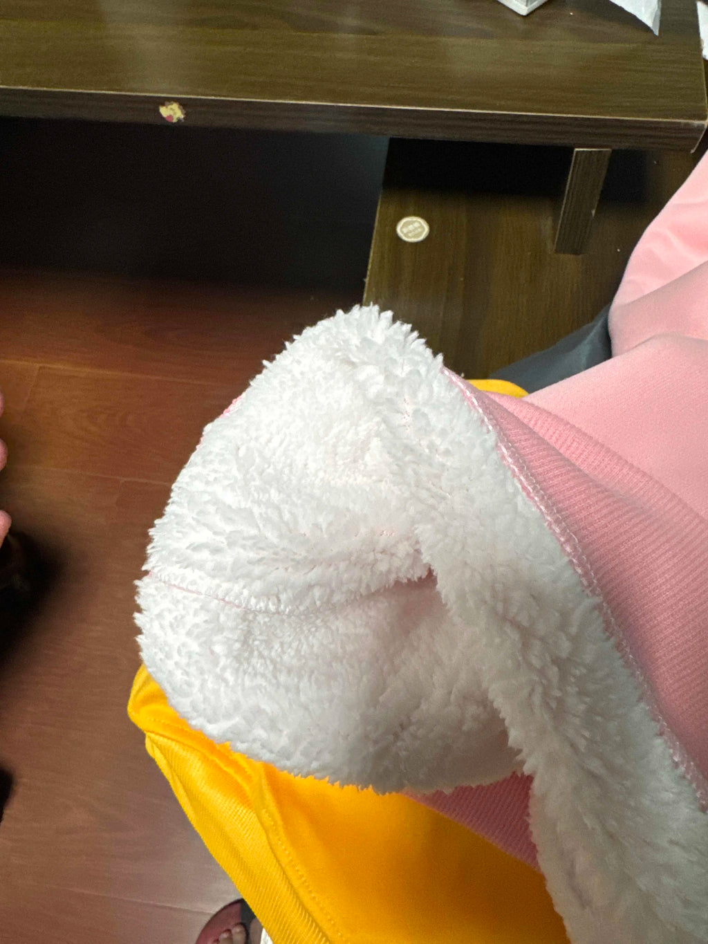 Kawaii Capybara Children's Clothing Lamb Wool Pullover Hoodies Boys Girls Winter Warm Thick Long Sleeved Sweatshirt Anime Gifts