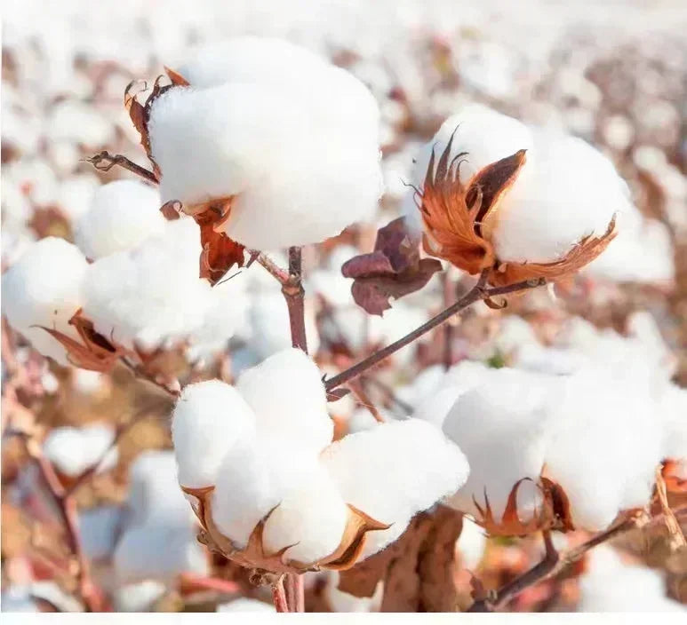 Mens Brand Fashion T-shirt Summer T Shirts Mobb Deep Mens Infamous on Red T-shirt Red Unisex Short Sleeve Male Casual Tee-shirt